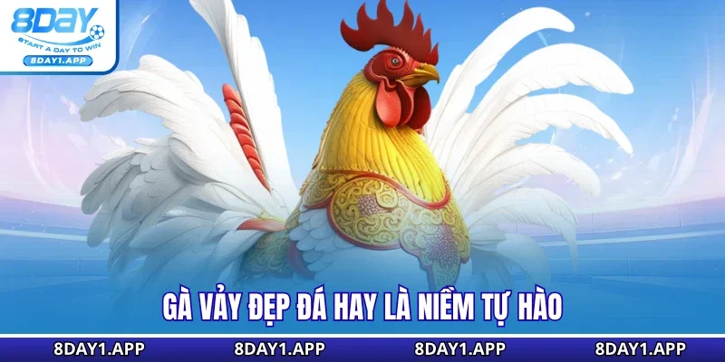 Gà vảy đẹp đá hay là niềm tự hào